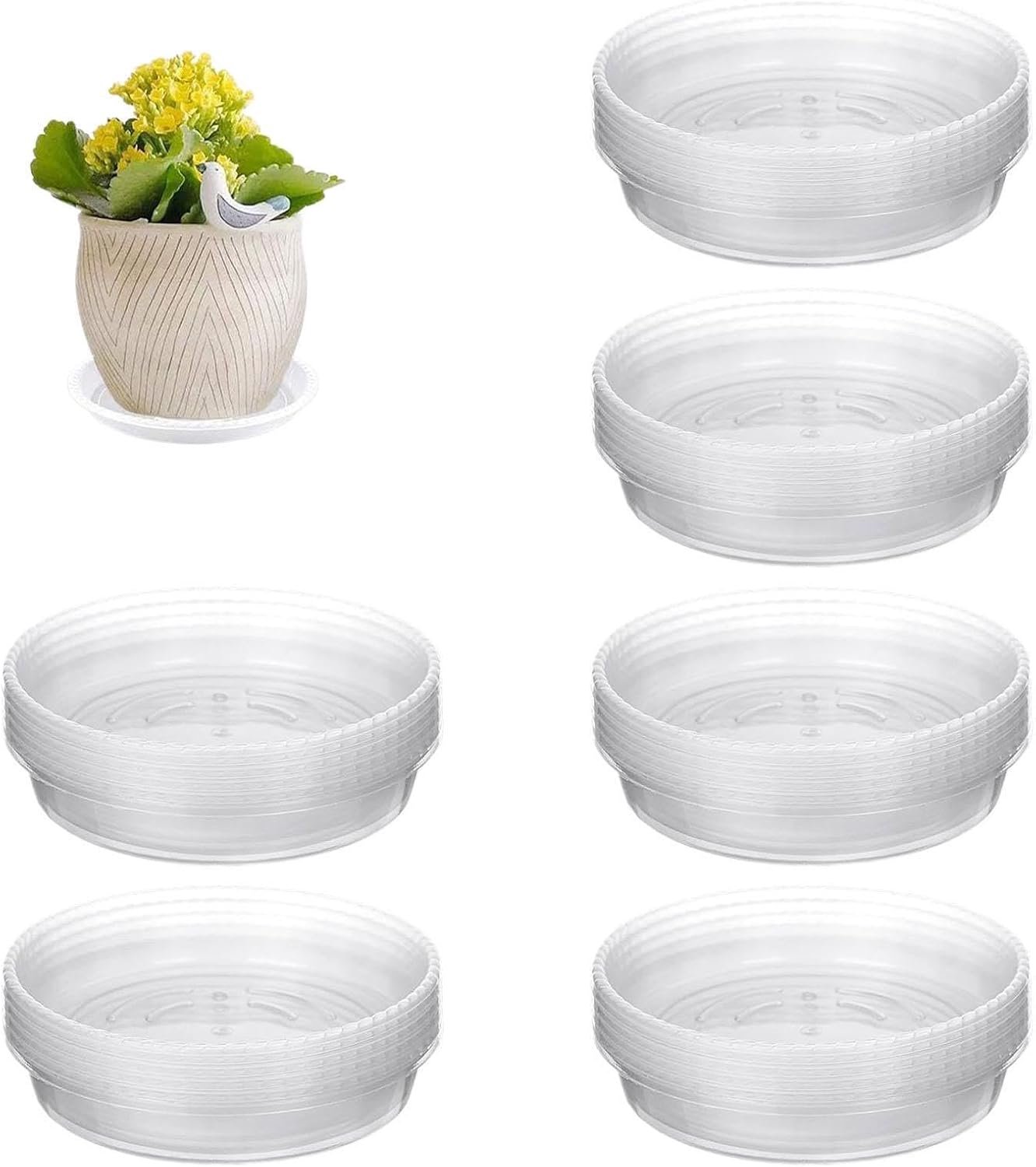 Schotels voor planten 30 Stuks Doorzichtige Wateropvangschaal