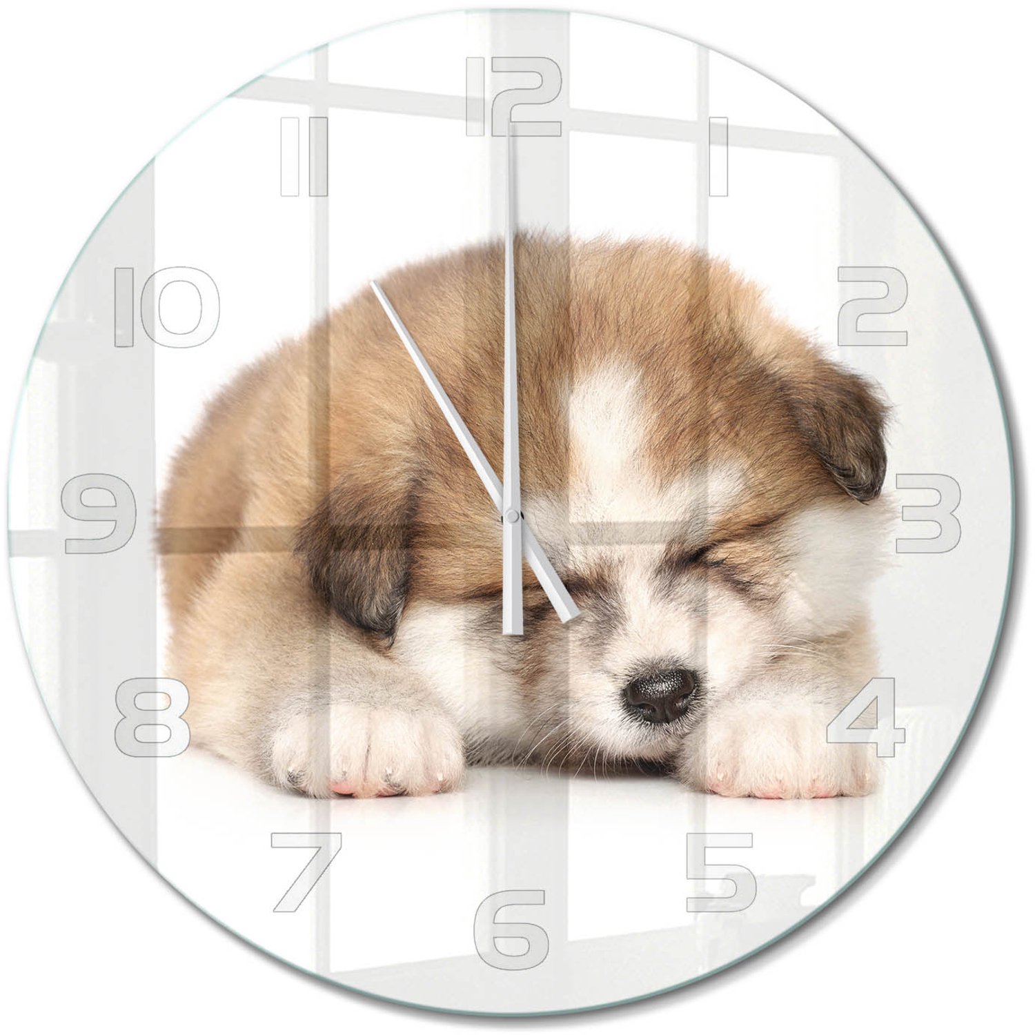 TULUP Wandklok - Akita-puppy Decoratieve Glazen Klok - fi60 cm - Oranje Glazen Wandklok Design - Witte handen - Ronde Klok - Glazen Klok Met Print - Wandklok Glas Met Motief