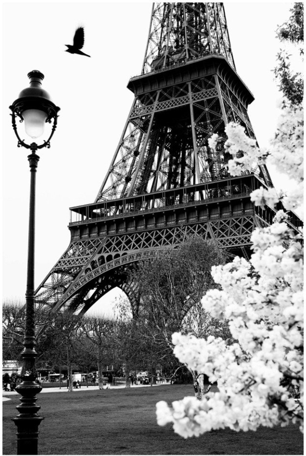 Vgdesign Eiffeltoren met bloesem 50x70 cm tuinposter banner VGDesign onbekend
