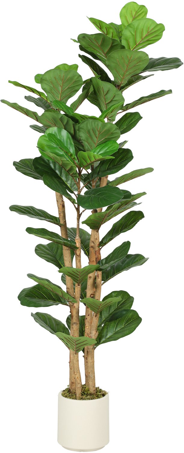 Homona Kunstplant Geigenfeige - Met massief houten stam - 50 x 50 x 150 cm - Groen