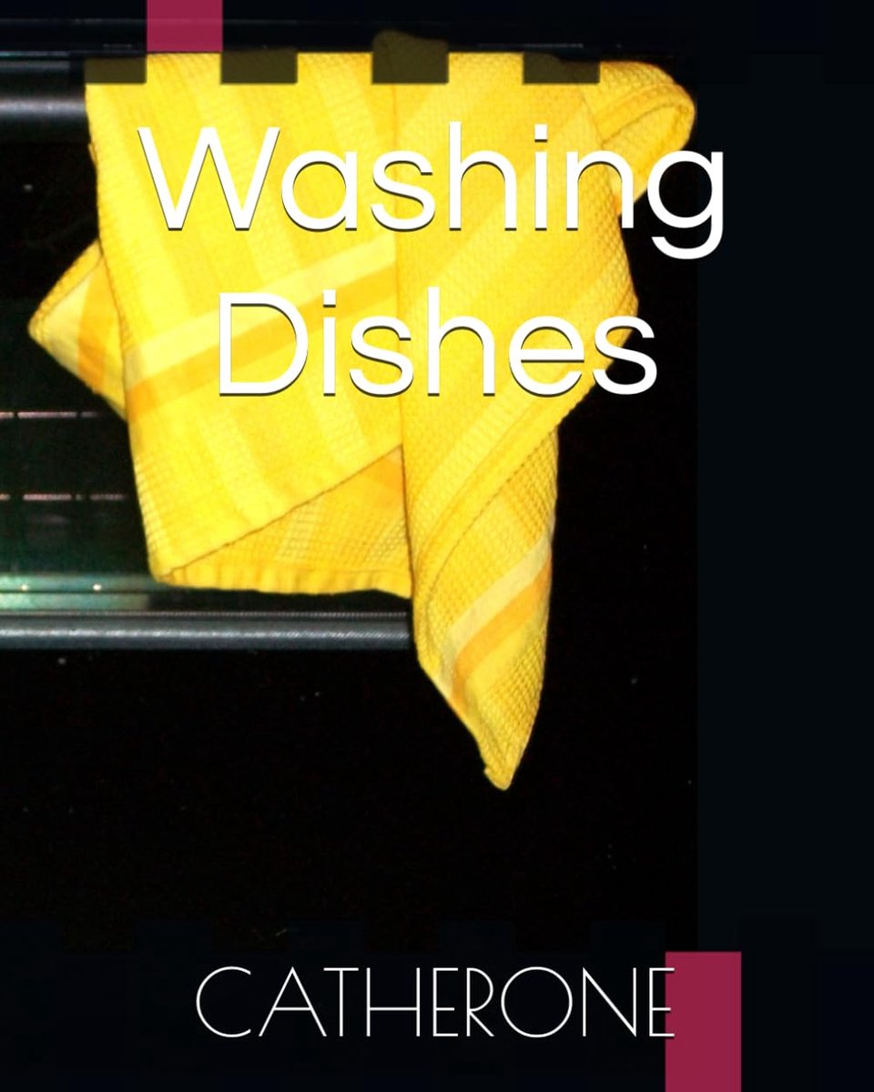 Washing Dishes - ShopVlot