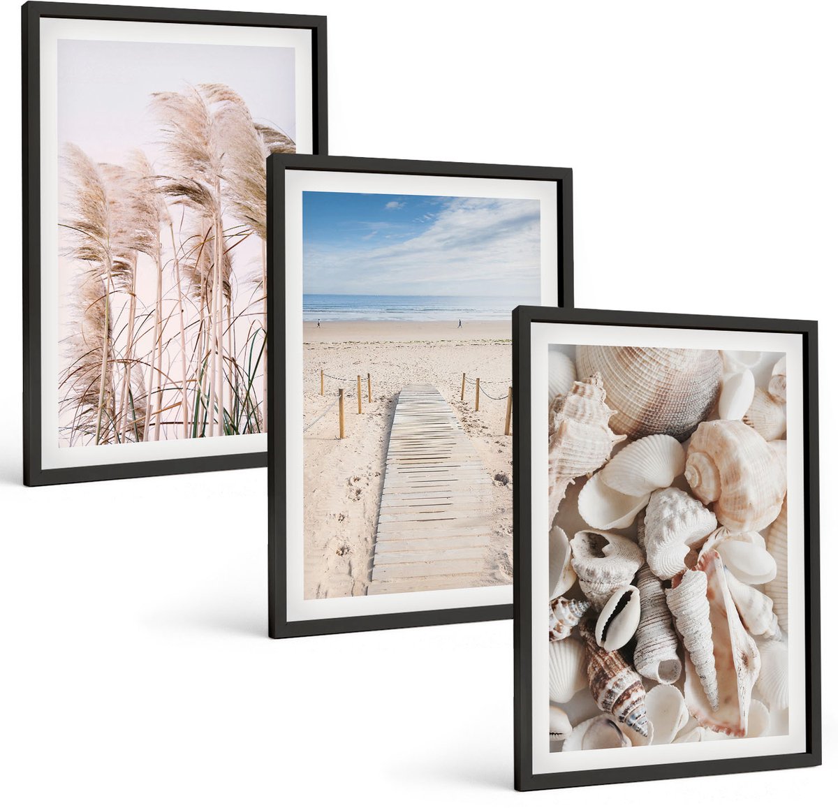 Coloray 3-Delige Schilderij Set - Zandstrand Met Schelpen En Zeegras - 40 x 60 cm - Muurdecoratie - Wanddecoratie - Hal