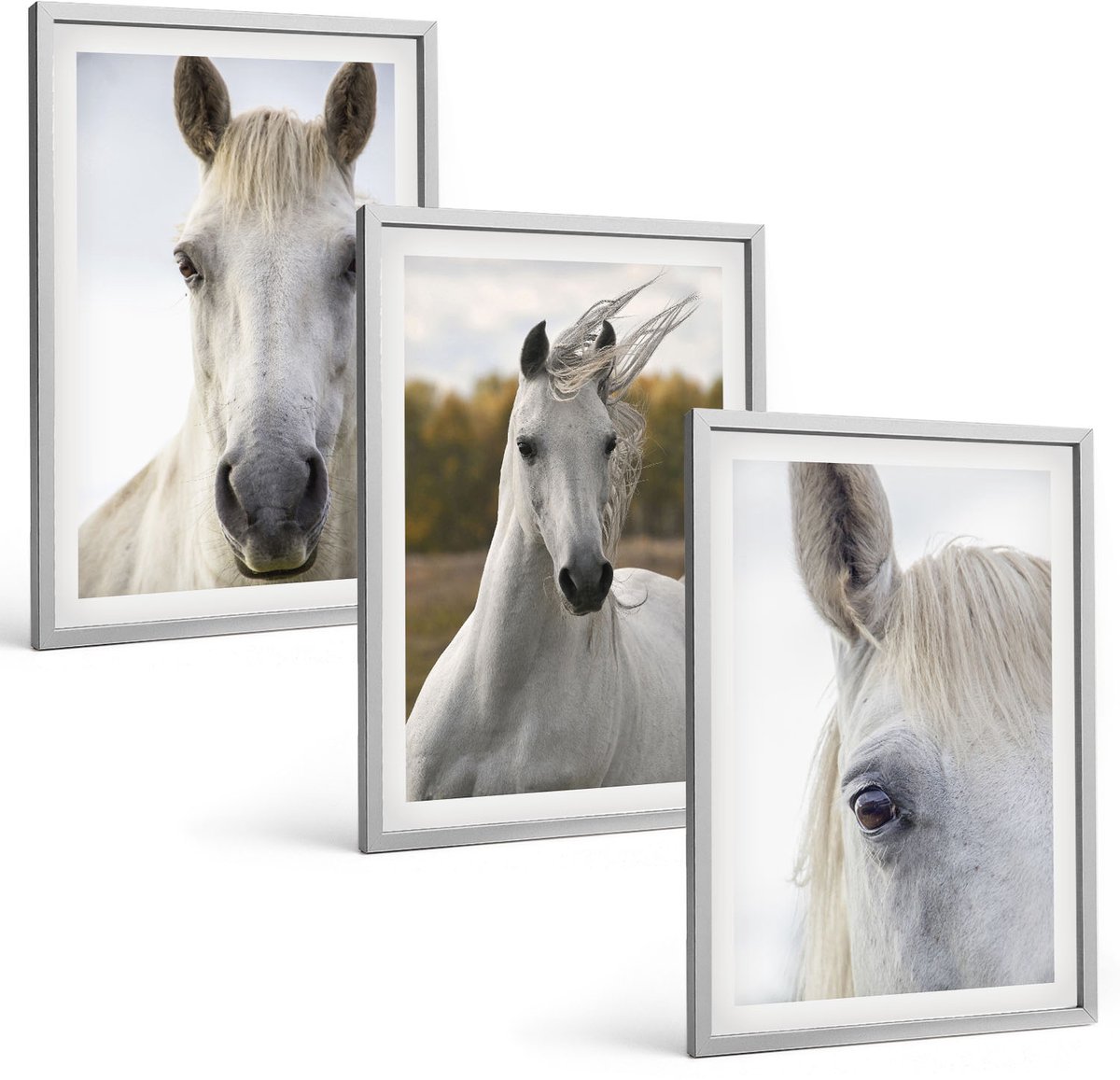Coloray 3-Delige Schilderij Set - Witte Paarden In Verschillende Houdingen Tegen Een Natuurlijke Achtergrond. - 40 x 60 cm - Muurdecoratie - Interieur Decoratie