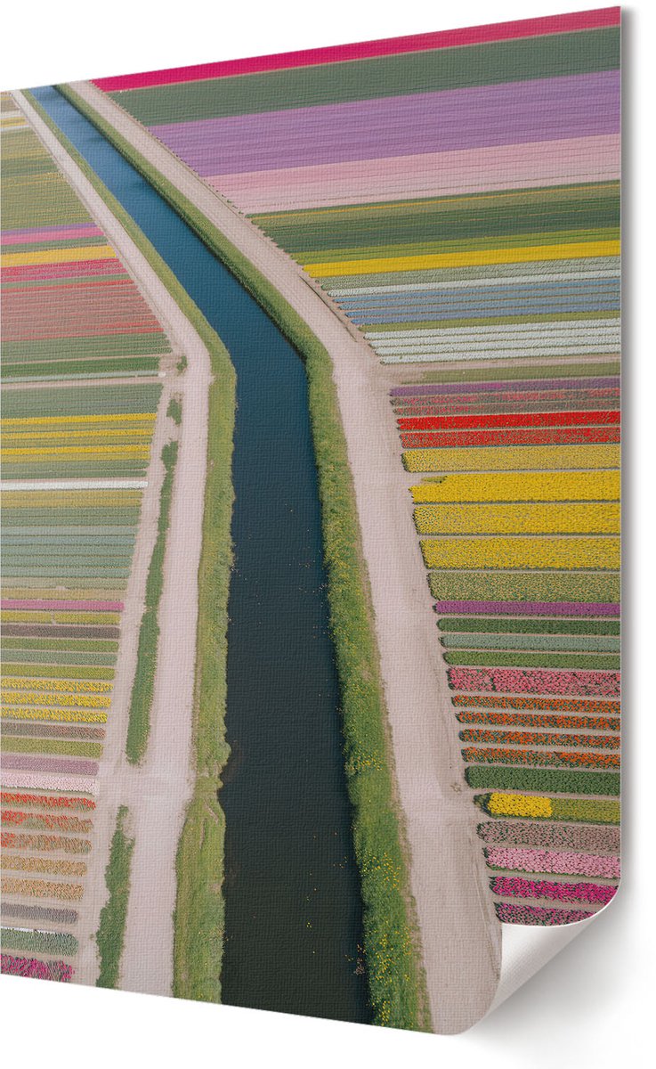Coloray Polycanvas Poster - Knoppen Takje, Illustratie - A3 - Groen Wanddecoratie - Rechthoek - Kunstposter - Woonkamer, Slaapkamer, Kantoor - Popcultuur