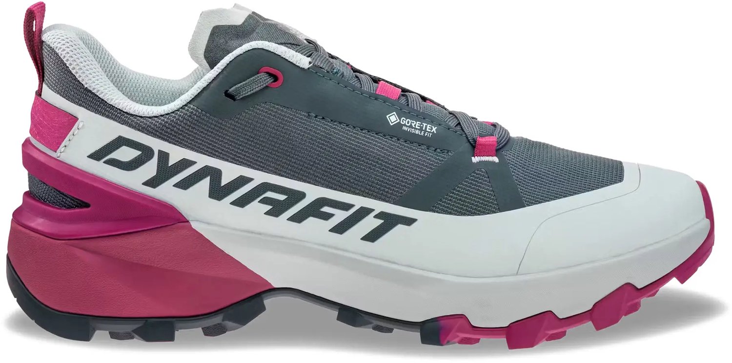 Wandel schoenen dames Dynafit Transalper Gtx Blauw