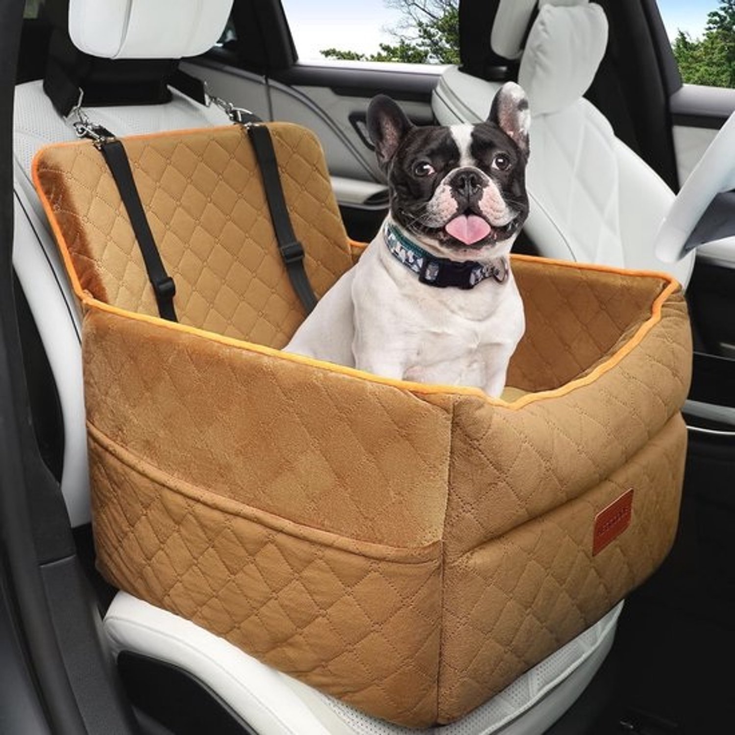 Autostoel voor kleine en middelgrote honden tot 15,9 kg - Verhoogd kussen voor zicht en comfort