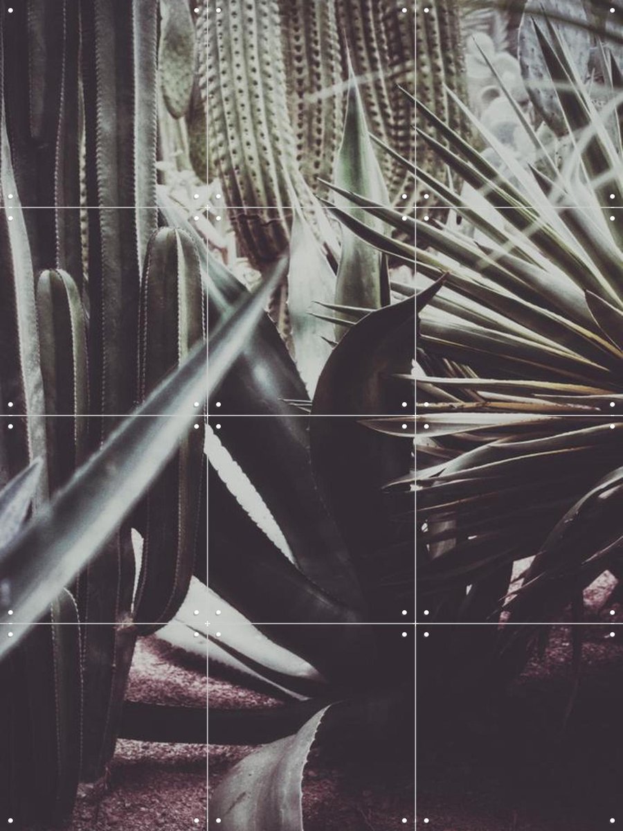 IXXI Polaroids From Saint Laurent 01, STUDIO HANNAH LEMHOLT - 60 x 80 cm - Gratis ophangtool - Grote wanddecoratie en posters - Fotografie