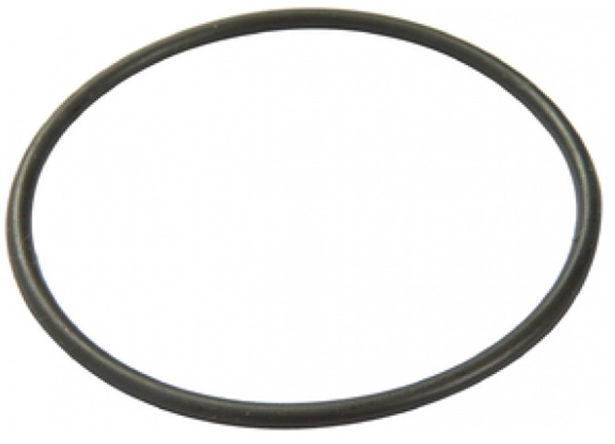 Bestway Filter Cap Seal voor 330gal Filterpomp (NA)