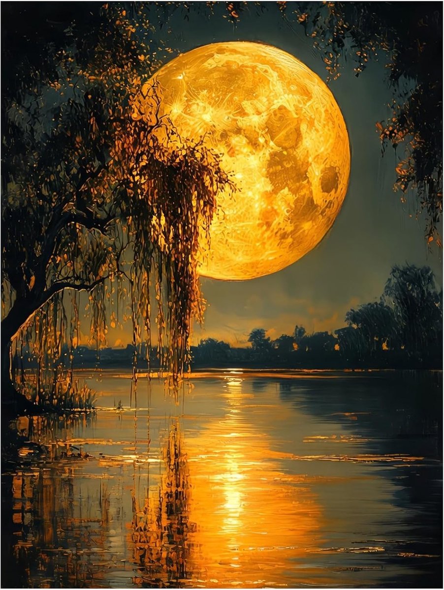 Diamond Painting maanlicht landschap - DIY Diamond Painting Kit voor volwassenen en beginners, 5D diamantschilderset als cadeau, voor ontspanning en als wanddecoratie 30 x 40 cm