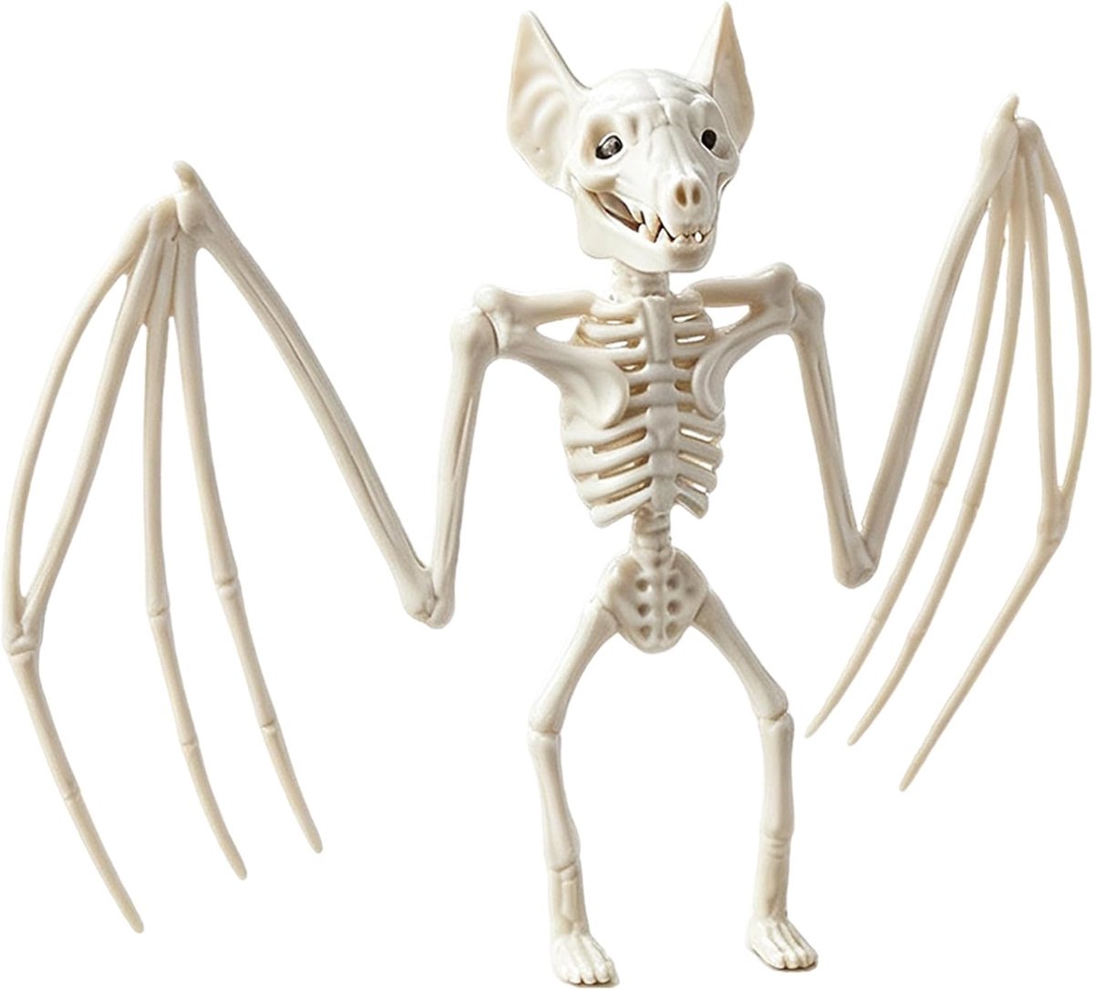 29 x 16 x 5 cm, realistisch verschrikkelijke vleermuizen, Halloween-skelet