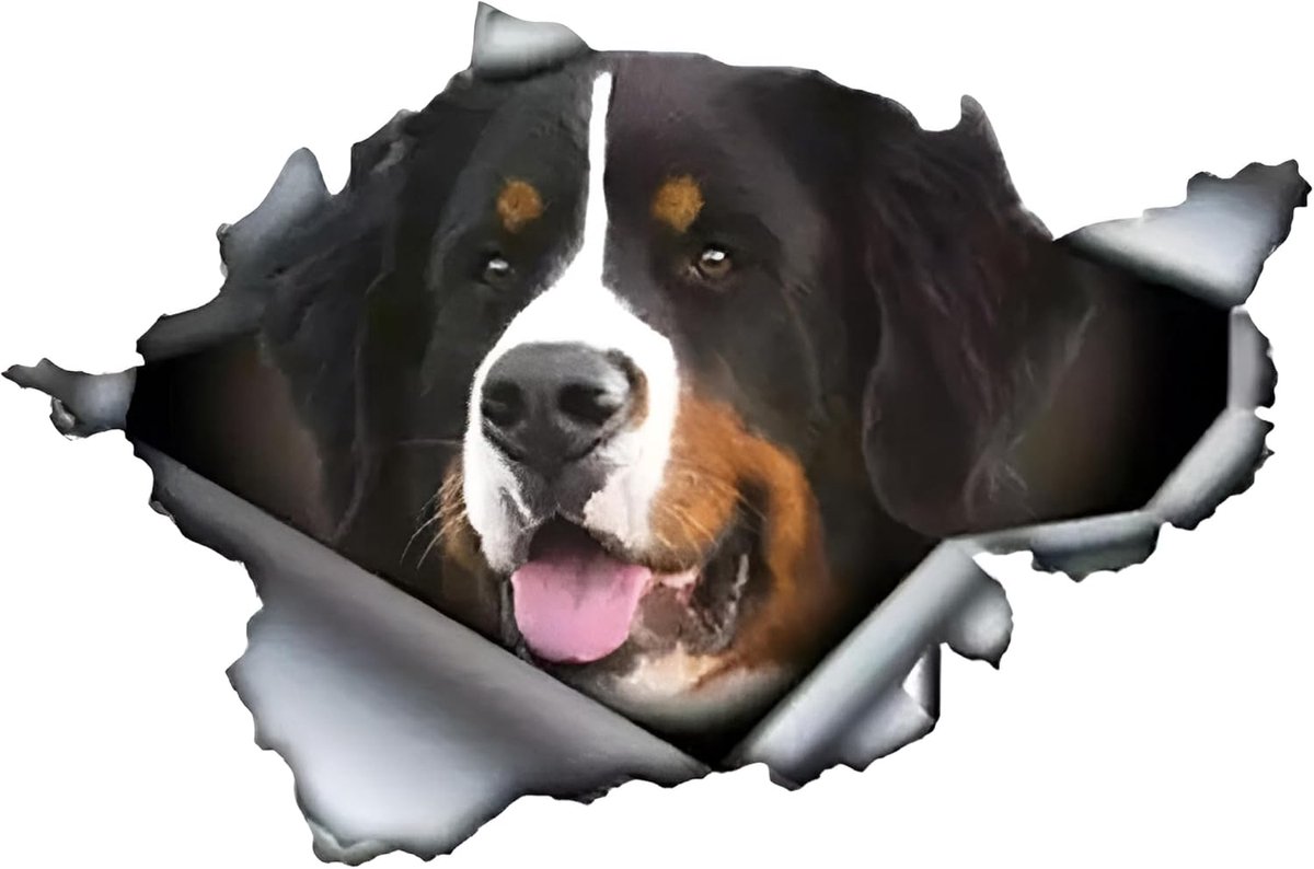 22 cm Berner Sennenhond sticker 3D scheuren autosticker Berner Sennenhond reflecterende autosticker Bernese Mountain Dog Car Sticker grappige huisdier hond sticker