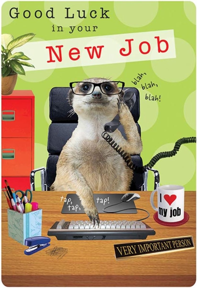 Greetings Group Ltd FANTASTISCHE KLEURRIJKE MEERKAT OP HET WERK GOED GELUK IN UW NIEUWE JOB WENKAART, groen|bruin|zwart|rood|geel,7 x 5