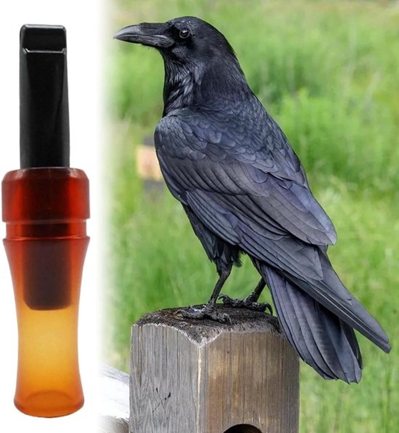 Kraai Fluitje - Vogelbeller - Natuur Verkenning - Realistische Geluiden - 14 cm - A