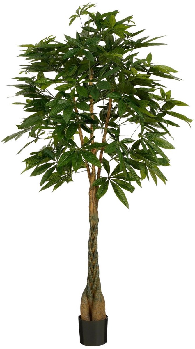 Mica Decorations Pachira Kunstplant - H150 x Ø65 cm - Groen