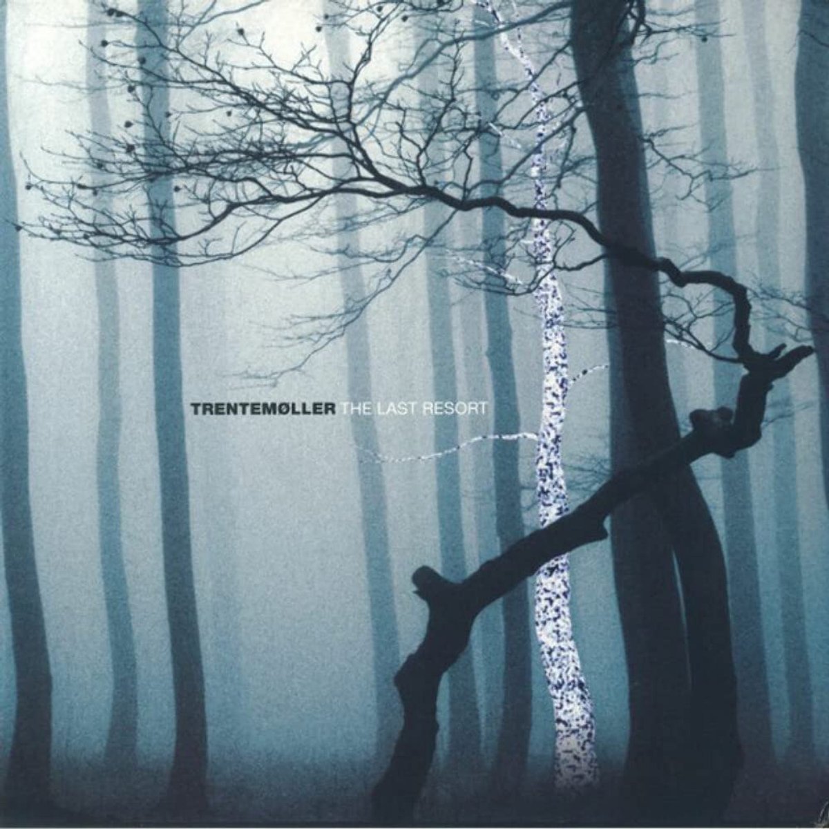 The Last Resort [12 inch Analog] - ShopVlot