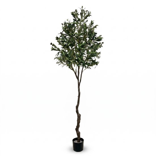 Kunstmatige olijfboom met een gedraaide stam, in een zwarte pot.