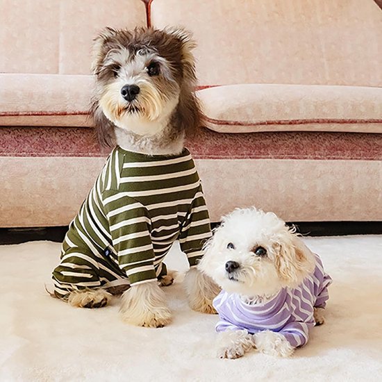 Hondenbody na operatie, lange mouwen chirurgisch pak voor honden, herstelpak na castratie, hondenpijama voor kleine en middelgrote honden met poten — afbeelding 4