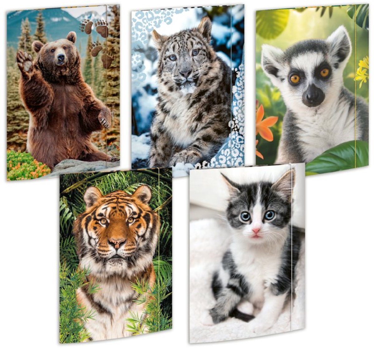 RNK Verlag tekenmap Tiere, A3, gekleurd elastiek, 15 stuks