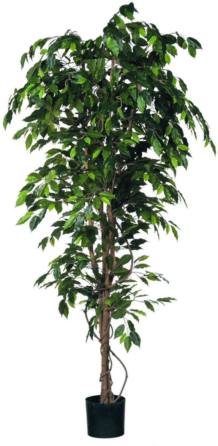 Mica Decorations Ficus Kunstplant - H210 x Ø100 cm - groen