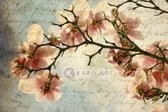 Schilderij - Magnolia boomtak met een verouderd papieren effect en een oud handschrift, premium print , 3 maten , Multikleur