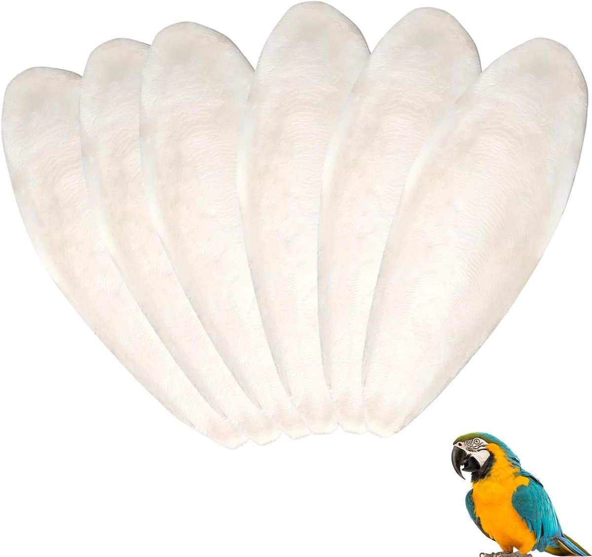 6 stuks sepiakbotten, beige, sepia-vogels, kauwspeelgoed, voetbalsteen voor vogels, schildpadden, vogels, slakken, papegaaien, grillen, duiven