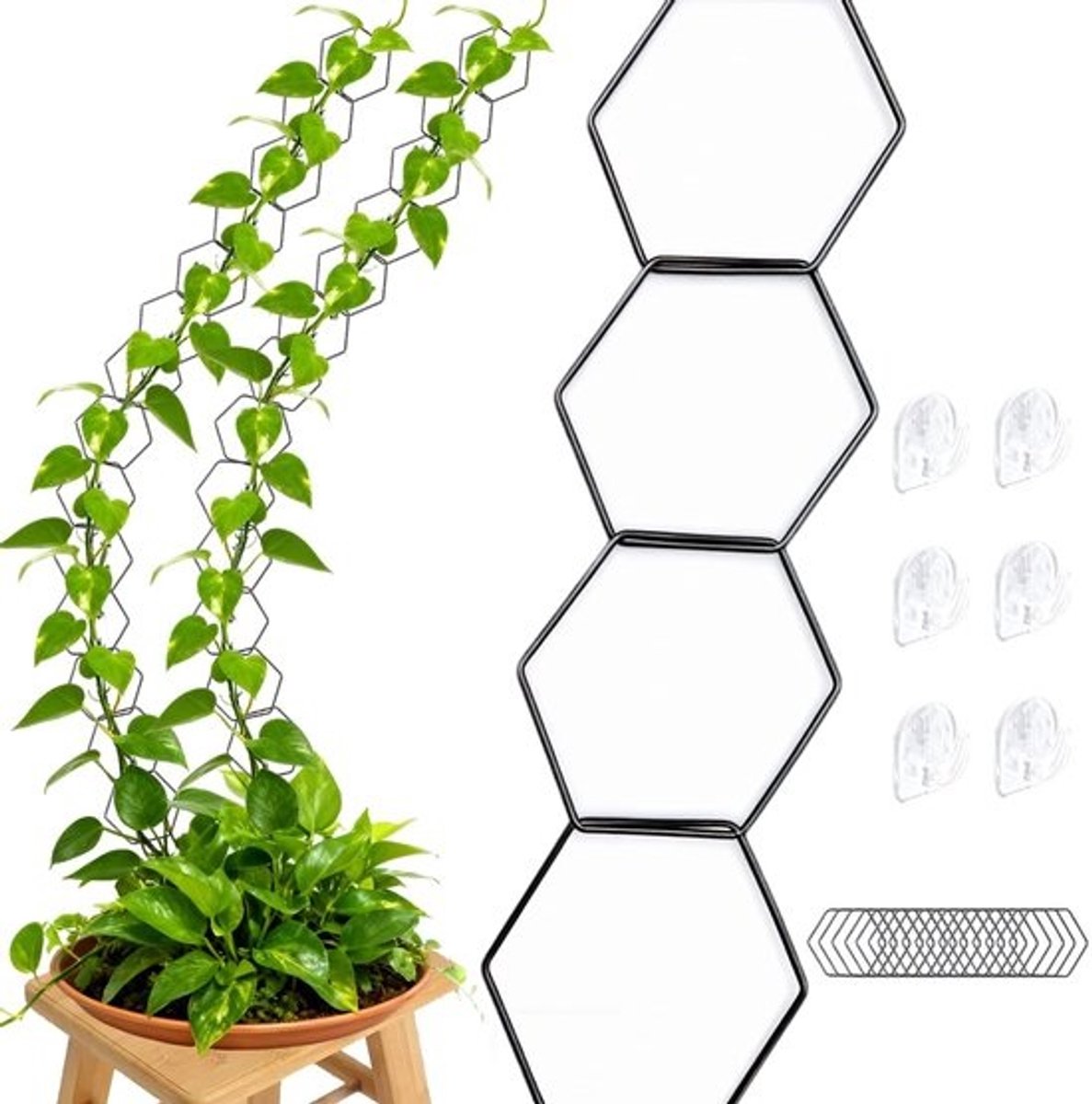 SnelShoppen - 18-delige indoor klimhulp - Hexagonale kettingtrellis van metaal met 6 haakjes voor klimplanten, DIY-plantenwand, modern, voor Pothos Monstera
