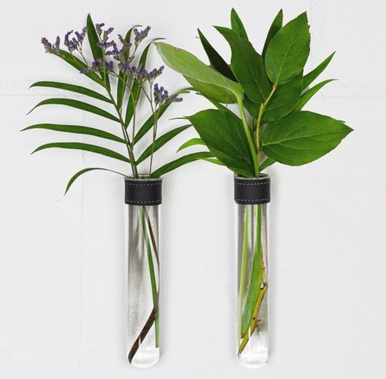 Reageerbuisjes voor bloemen - Met leren band en muurmagneten - Set van 2 - Unieke wanddecoratie