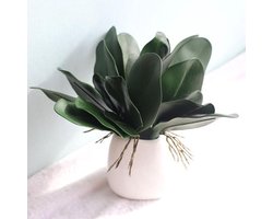 Huaao 6 stuks kunstmatige groene Phalaenopsis simulatie orchideeën bloemen Phalaenopsis bladeren echte latex touch groene plant decoratie voor bloemen tuin bonsai decor (26 cm/5 vellen)