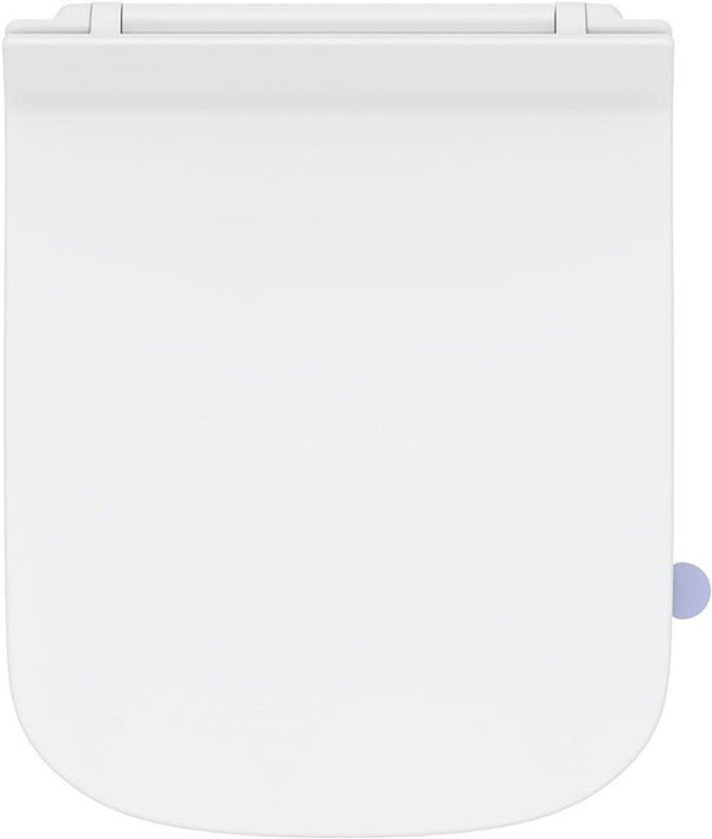toiletdeksel - met softclose en quick-releasefunctie - vierkante duroplast-wc-bril - gemakkelijk te reinigen