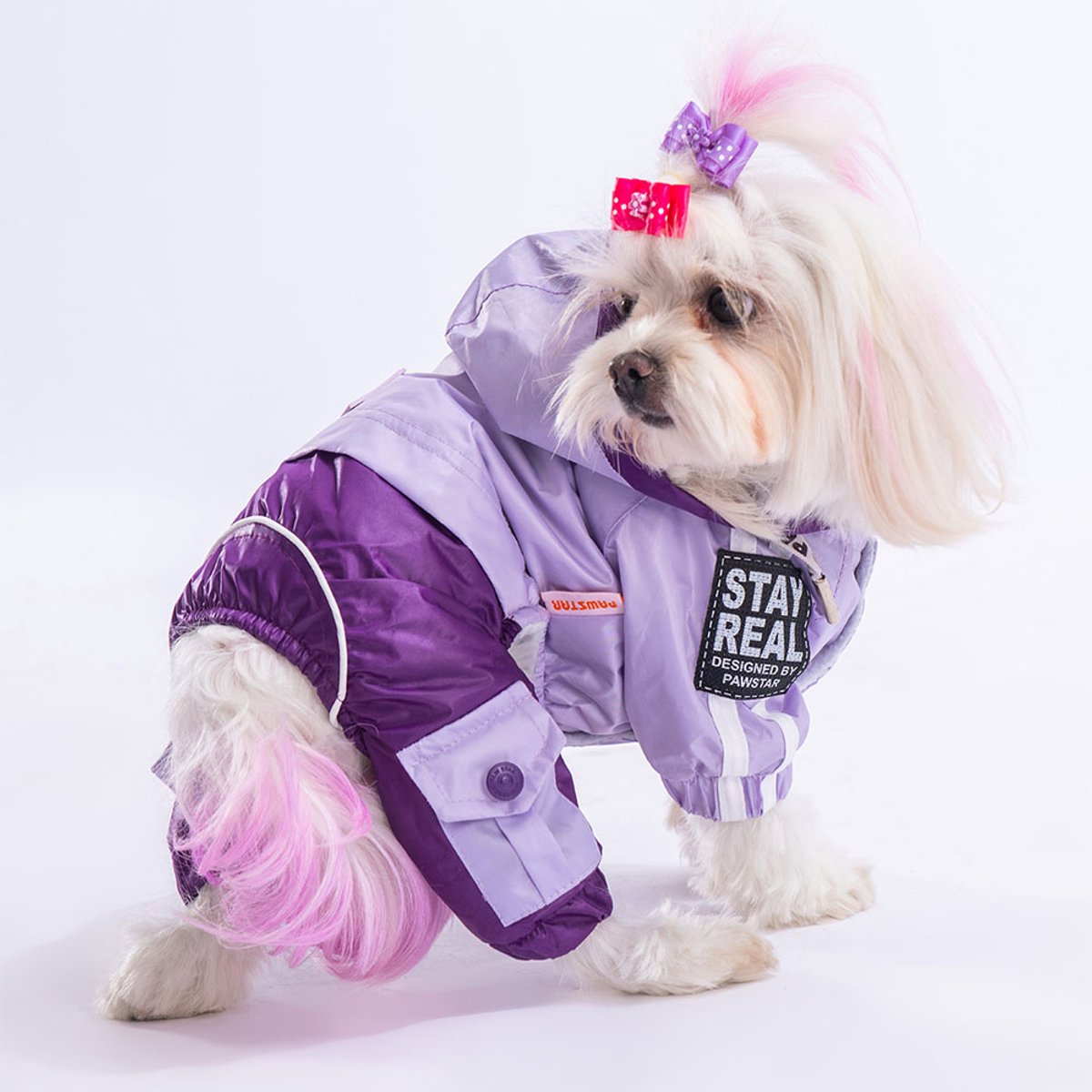 Pawstar BiColor - Hondenoverall - Lila/Paars - XXL