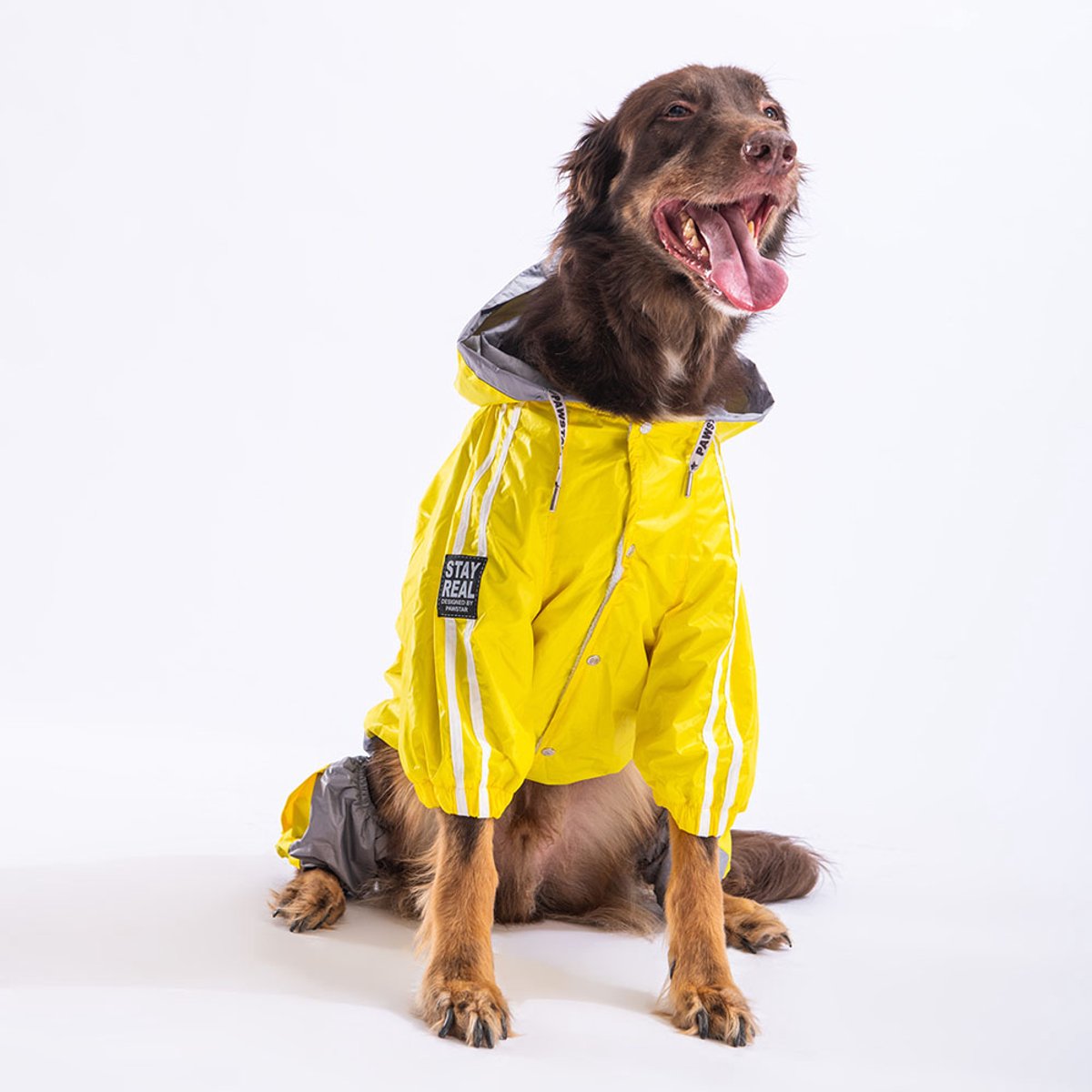 Pawstar BiColor Big - Hondenoverall - Geel/Grijs - 6XL