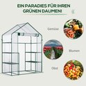 Een transparante foliekas met groen frame, deels gevuld met groenten, bloemen en fruit.