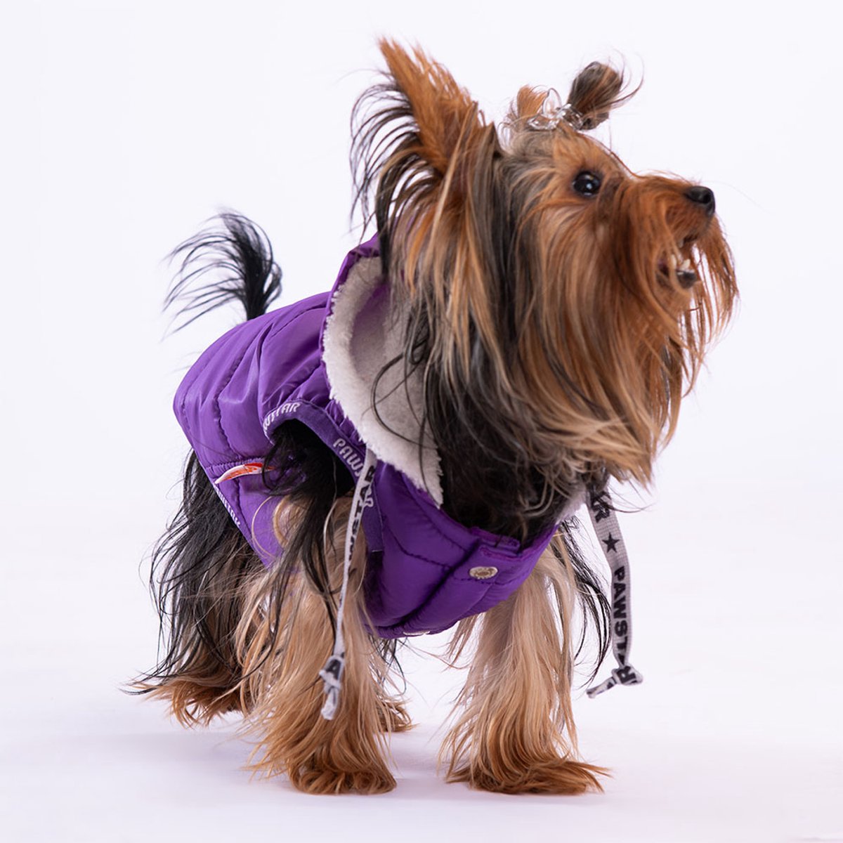 Pawstar Railway - Hondenbodywarmer - Paars - XXL