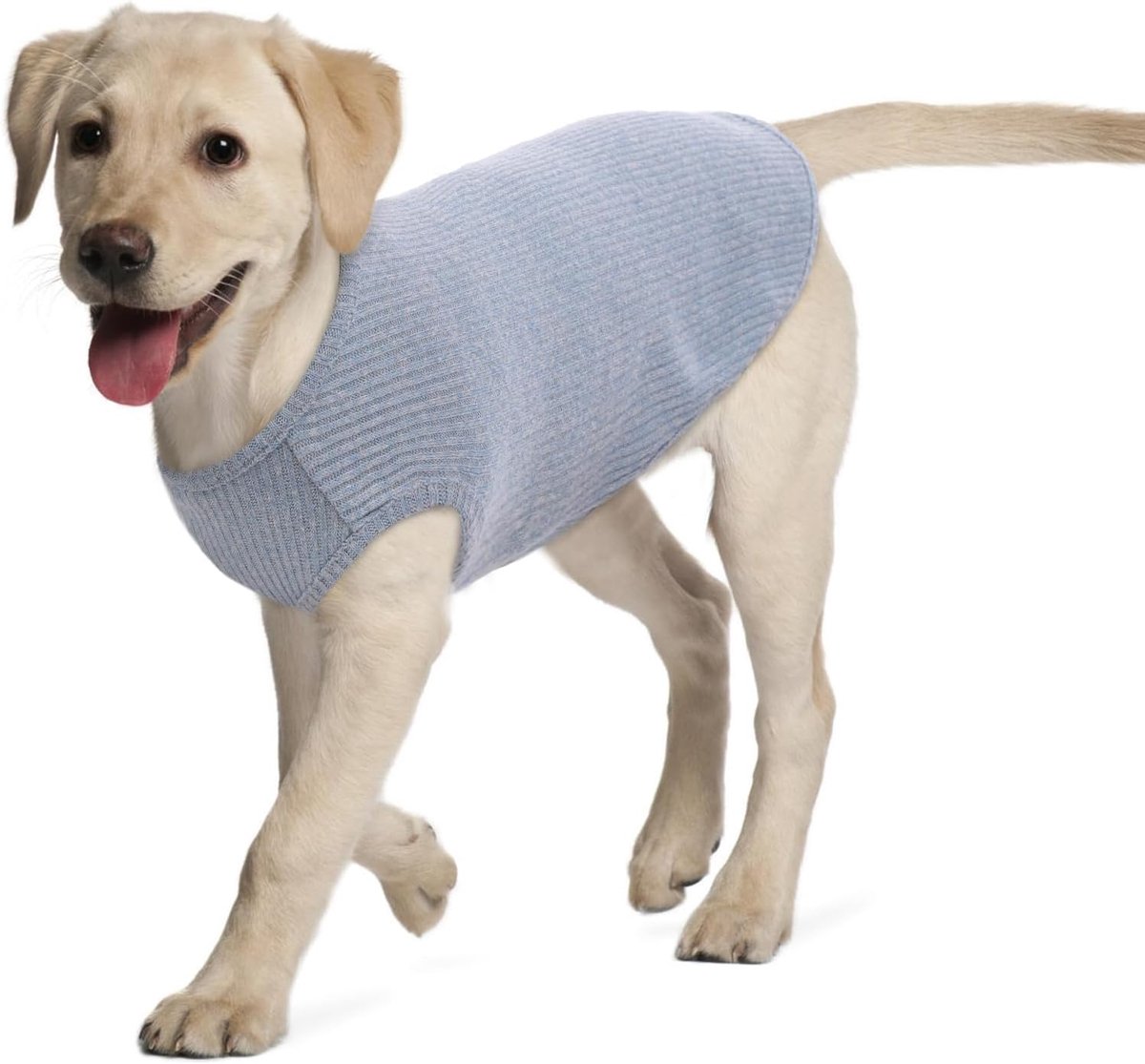 Hondenhemd voor kleine honden katten en huisdieren gestreept T-shirt zomer cool vest, puppy basic tanktop zacht katoen Chihuahua kleding voor Doggy Girl Boy (XXL, blauw)