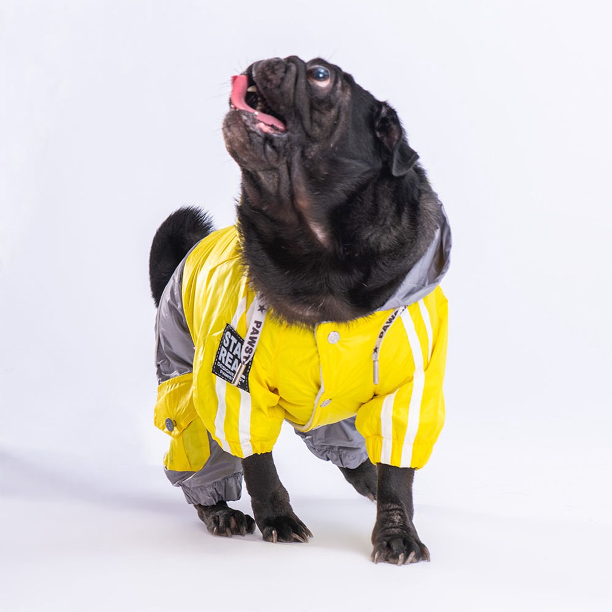 Pawstar BiColor - Hondenoverall - Geel/Grijs - M
