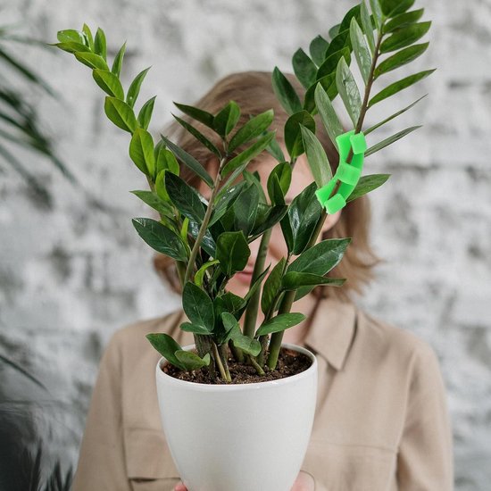4 Stuks Delige Graden Plant Buigclips voor Takken Duurzame Plant Steunclips voor Heroriëntatie Luchtcirculatie Geschikt voor Tuin Kamerplanten — afbeelding 2