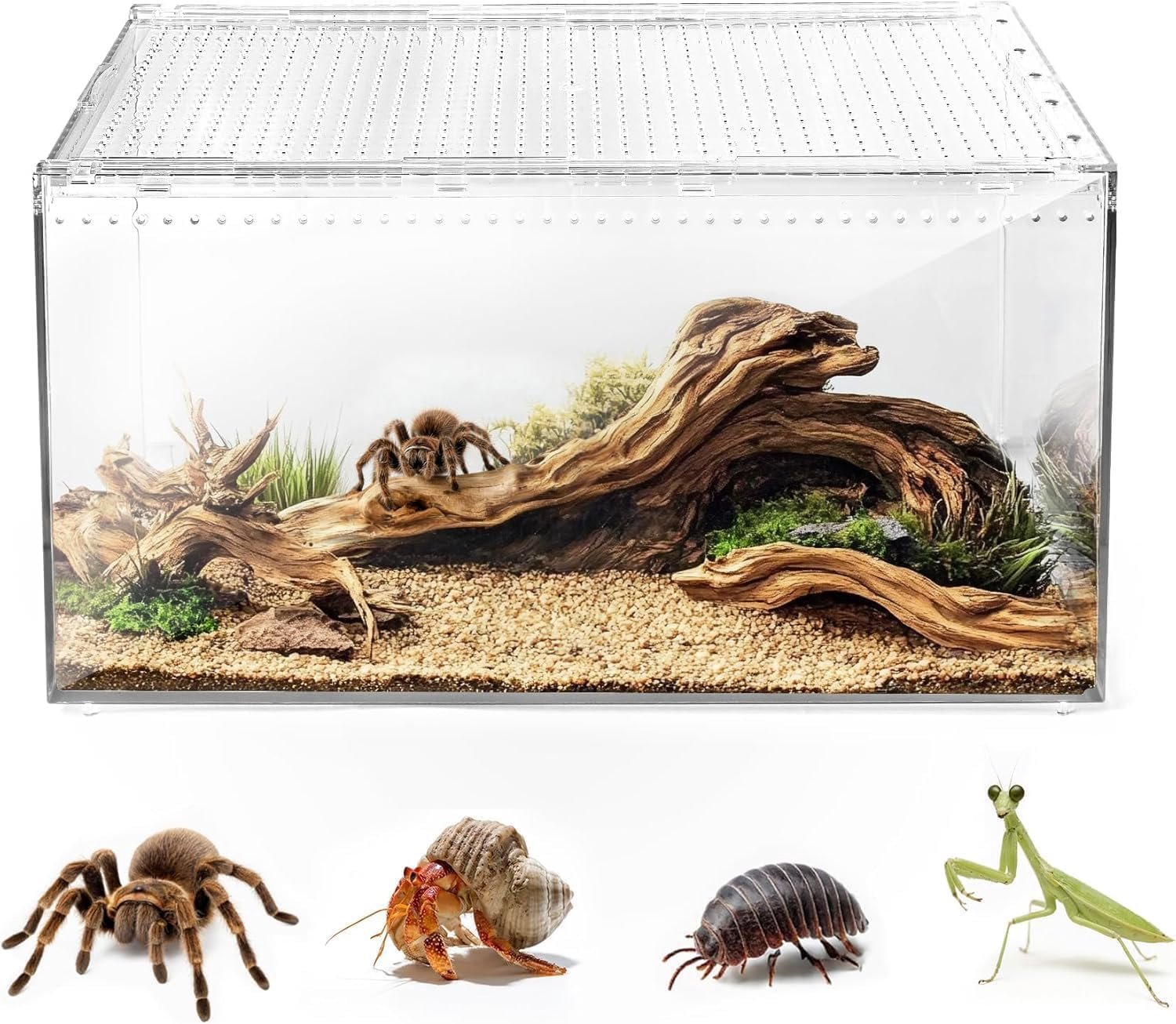 Magnetische Acrylaat Terrarium Box - 40 x 25 x 20 cm - Stapelbaar - Voor reptielen en insecten - ShopVlot