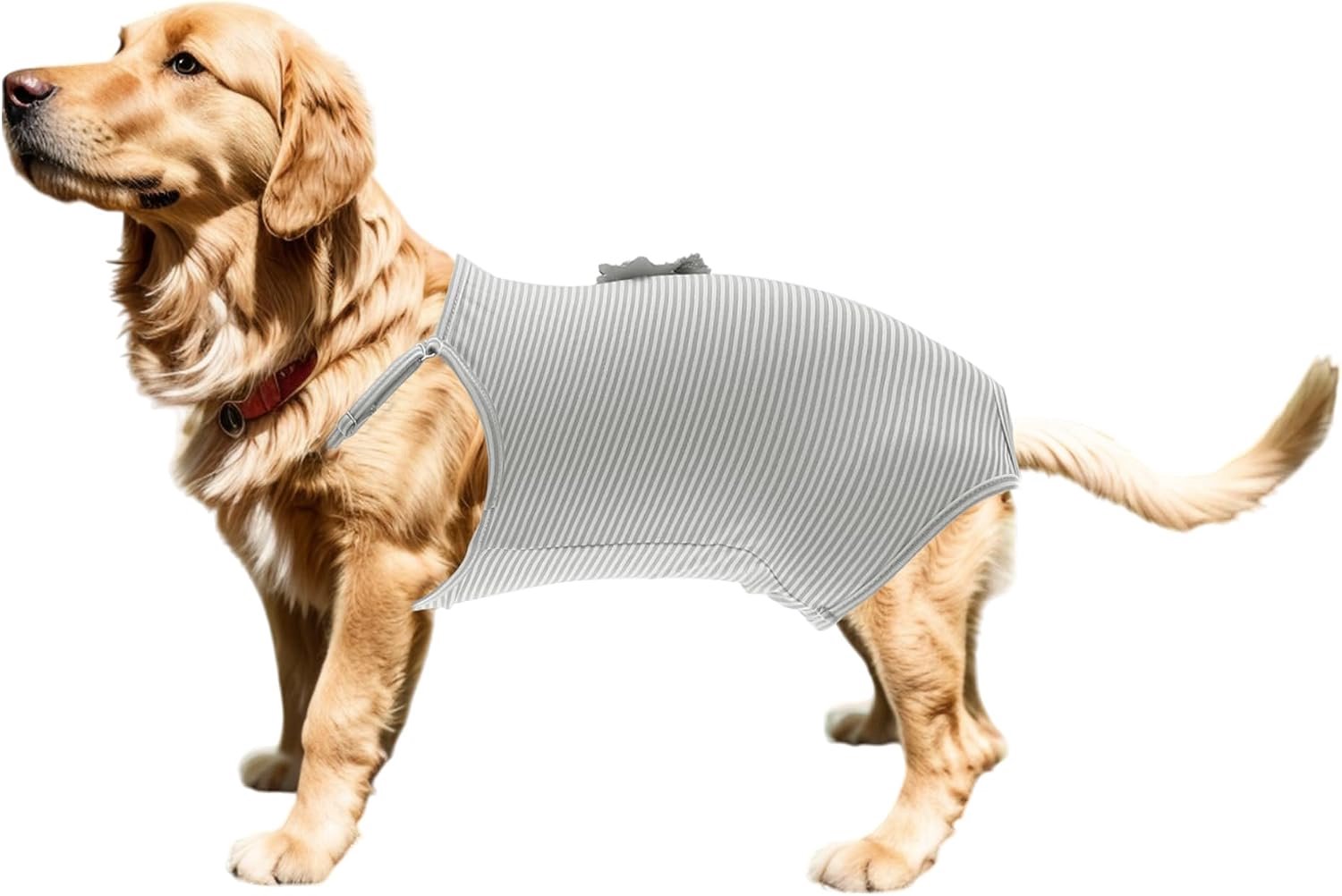 Hondenluiers, fysiologische broek met verstelbare riem, overalls, bretels, wasbaar en herbruikbaar, voor kleine en middelgrote honden en katten, grijs, S