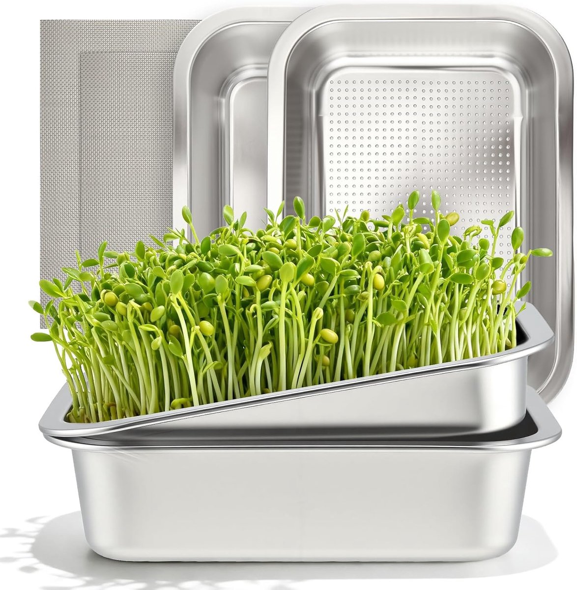 Kweekset, 2 roestvrijstalen waterkers kweekschalen, 26 x 19 cm kiemschalen voor spruiten en microgreens, spruiten kiemglas set, kleuterschool dienblad voor kamerplant zaailingen (A)