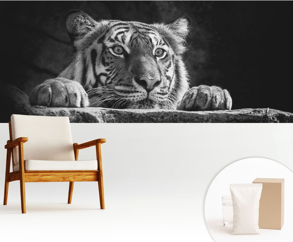 Wallfluent Fotobehang - Zwart-Wit Vliesbehang - 250x104 cm - Roofzuchtige Blik Fotobehang Vlies - Woonkamer behang Dieren - Muurschildering - Woonkamer behang