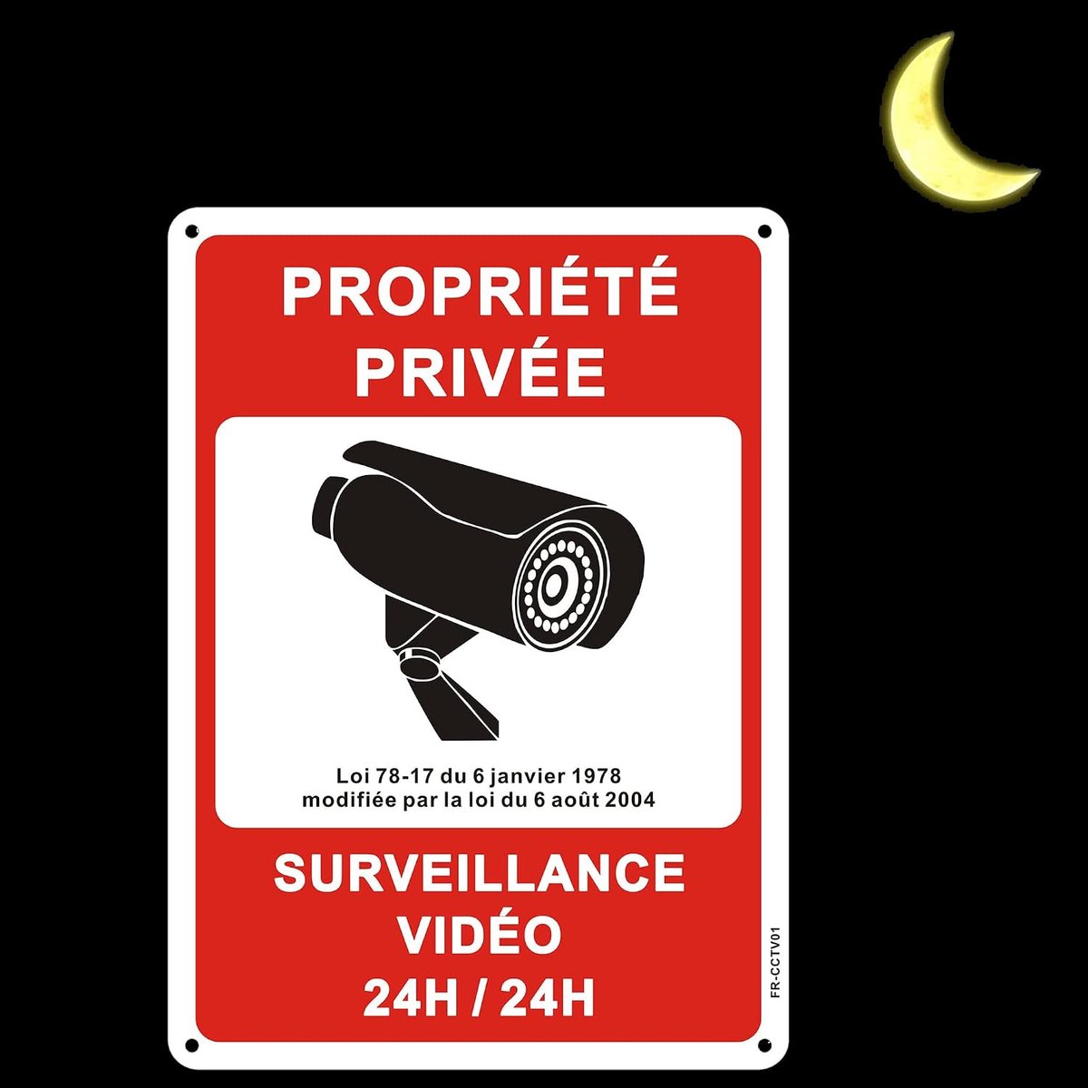 Camera Surveillance Aluminium Réfléchissante 250x180mm Panneau Propriété Privée sous Vidéo Surveillance Surveillance Métal Etanche, Impression Resistant aux UV