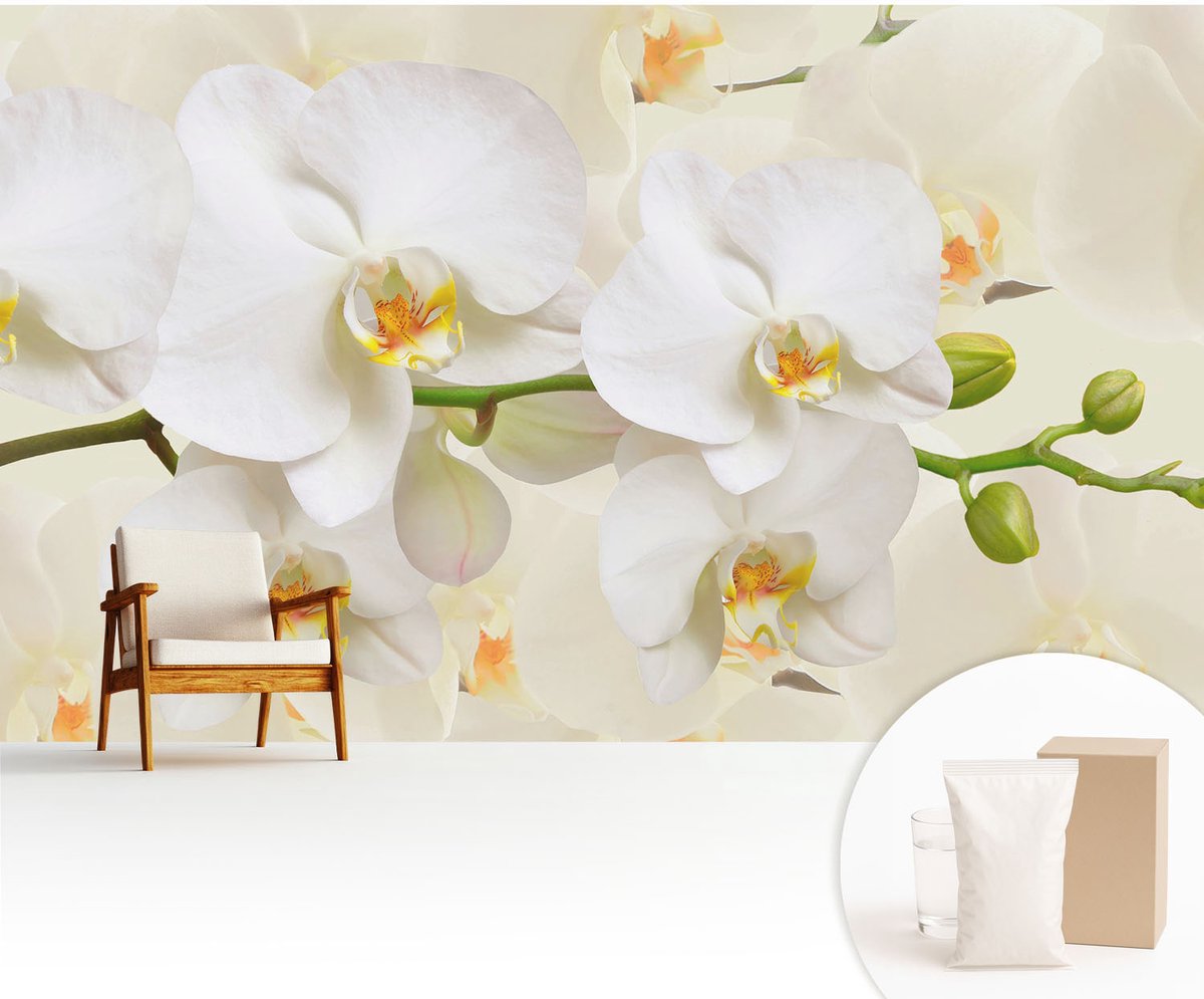 Wallfluent Fotobehang - Wit Vliesbehang - 416x254 cm - Bloemenpracht Fotobehang Vlies - Woonkamer behang Bloemen En Planten - Muurschildering - Woonkamer behang