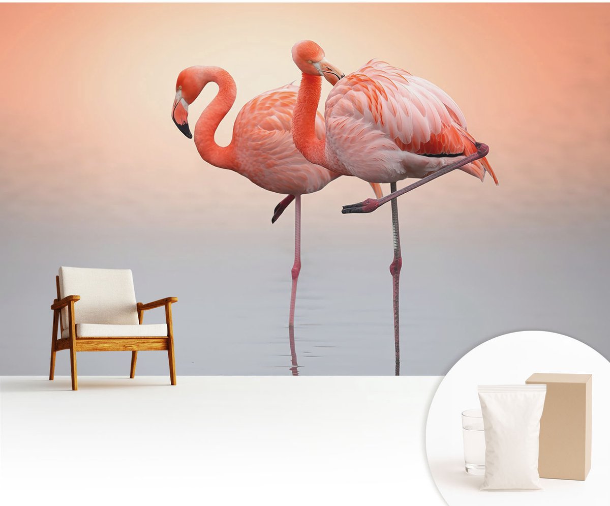 Wallfluent Fotobehang - Oranje Vliesbehang - 416x254 cm - Delicate Flamingo'S Fotobehang Vlies - Woonkamer behang Dieren - Muurschildering - Hal behang