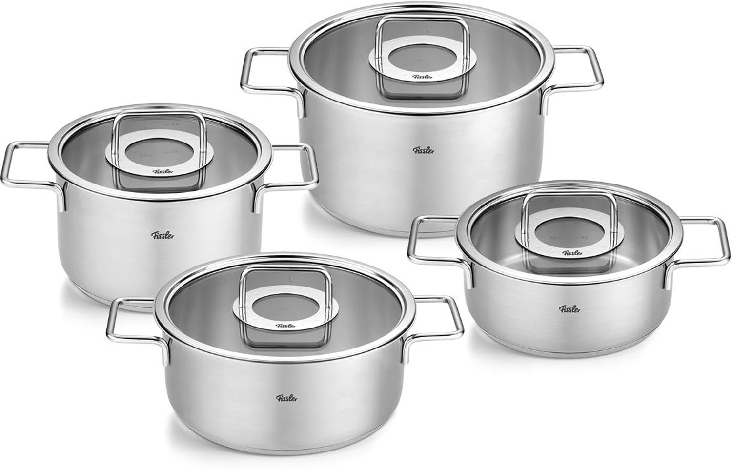RVS Pannen Set van 4 Stuks met Glazen Deksel