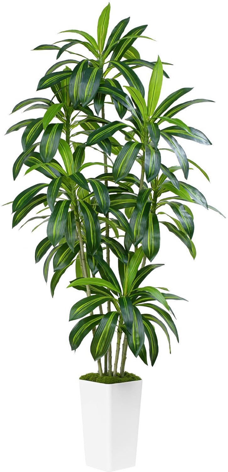 Kunstmatige Dracaena Plant voor Binnen en Buiten, Hoog met Witte Pot