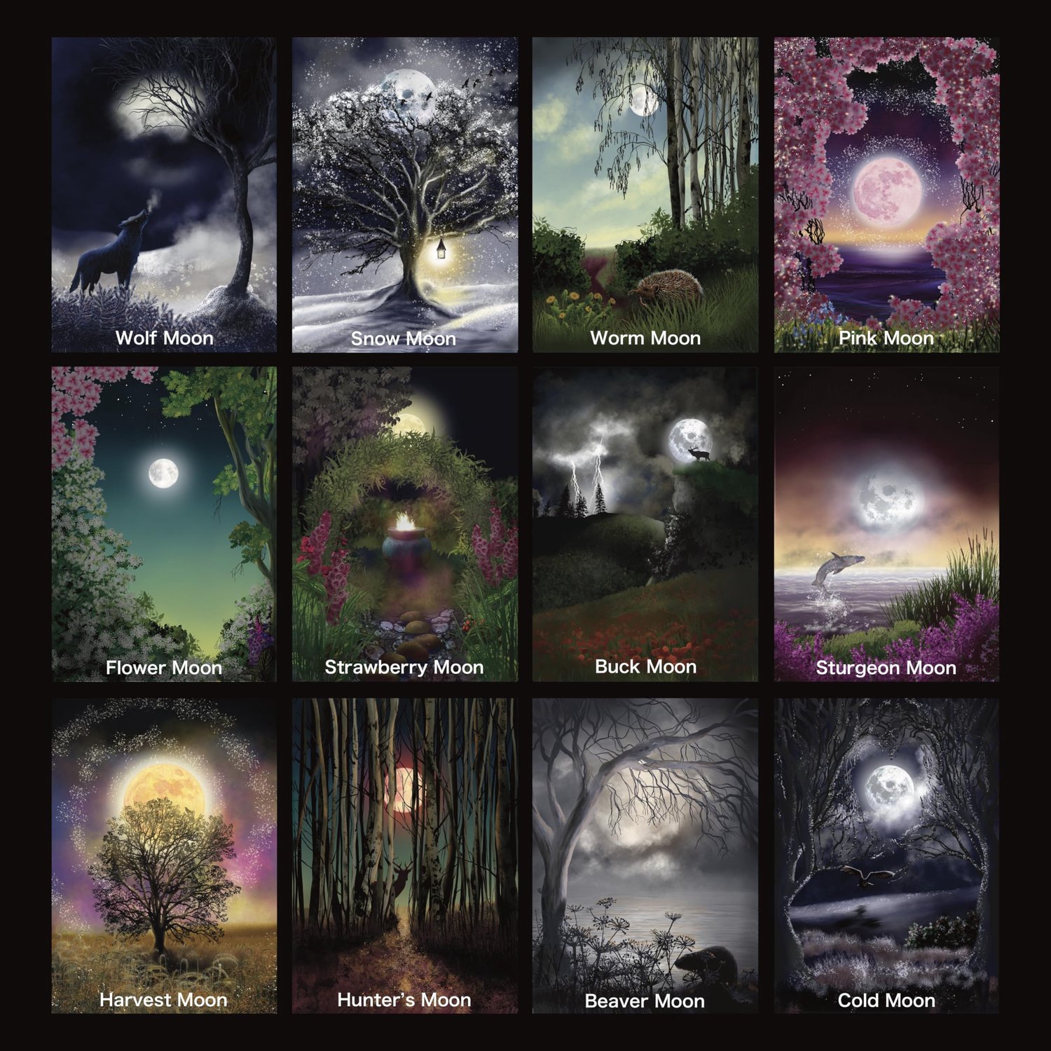 Set van 12 Luxe Wenskaarten met Volle Maan Illustraties