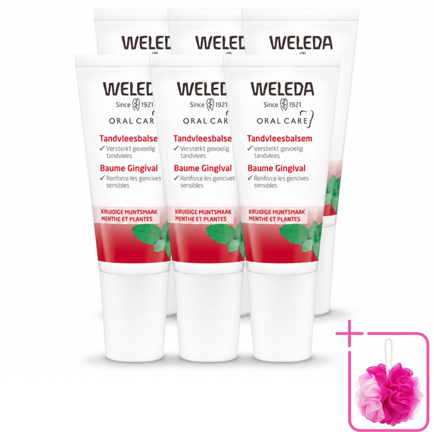 6 x WELEDA - Tandvleesbalsem - 30 ml - Bulkverpakking - Tandvleesbalsem - Douchemop - Tandvlees verzachten