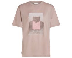 Icebreaker Merino 150 Tech Lite Relaxed Mountain Shift T-shirt Met Korte Mouwen Beige,Roze S Vrouw
