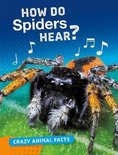 Crazy Animal Facts How Do Spiders Hear