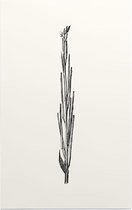 Bladtekening zwart-wit 3 - Foto op Forex - 60 x 90 cm